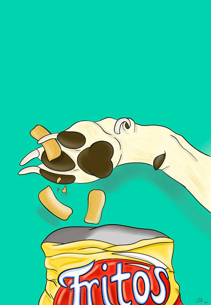 Corn Chip Dog Paw