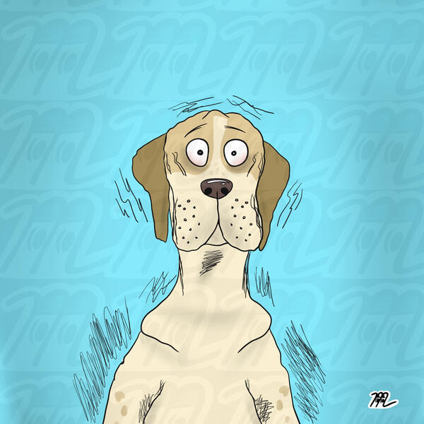 The Neurotic Dog